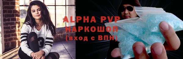 соль ск Новодвинск