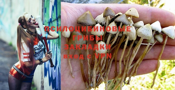 бутик Новозыбков