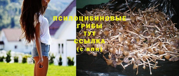 соль ск Новодвинск